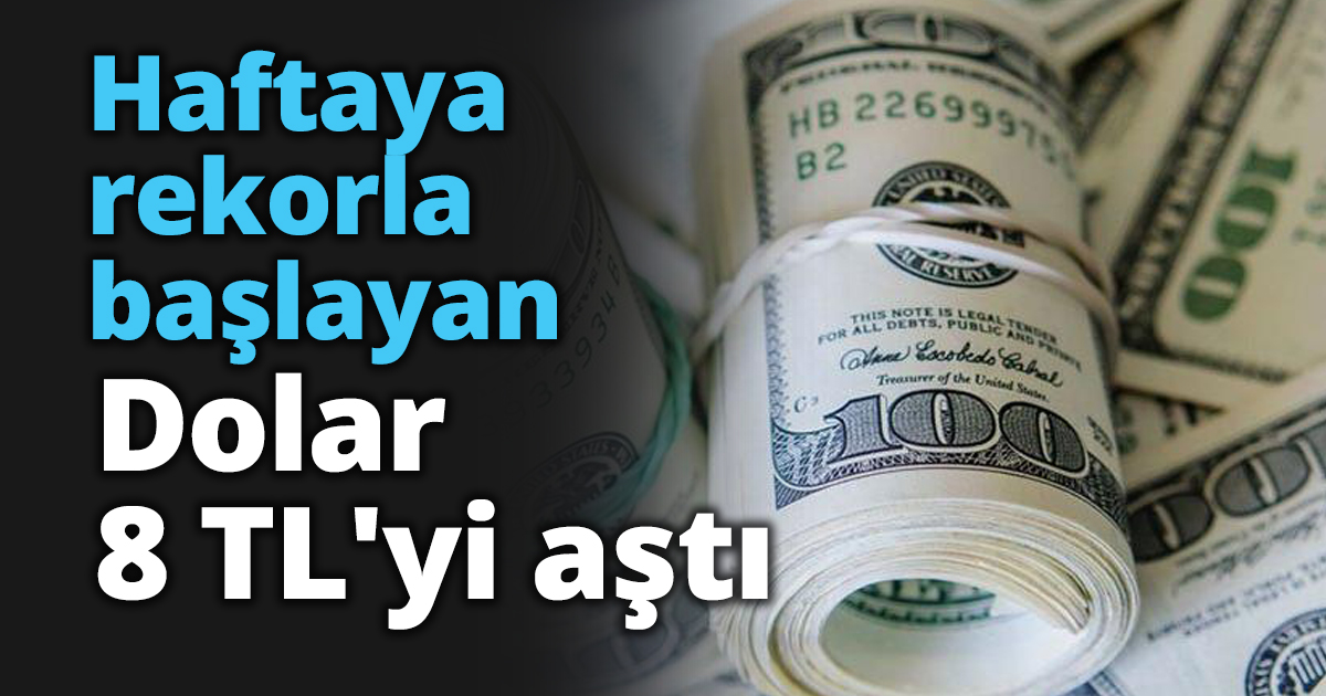 Haftaya rekorla başlayan dolar 8 TL'yi aştı
