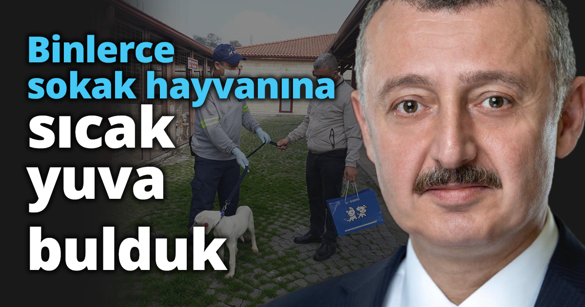 Başkan Büyükakın, ‘’Binlerce sokak hayvanına sıcak yuva bulduk’’