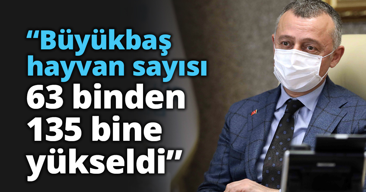 “Büyükbaş hayvan sayısı 63 binden 135 bine yükseldi”