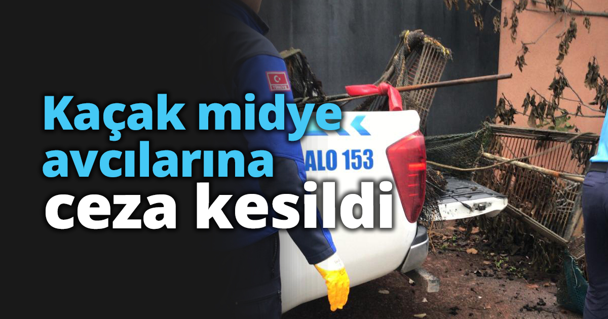 Kaçak midye avcılarına ceza
