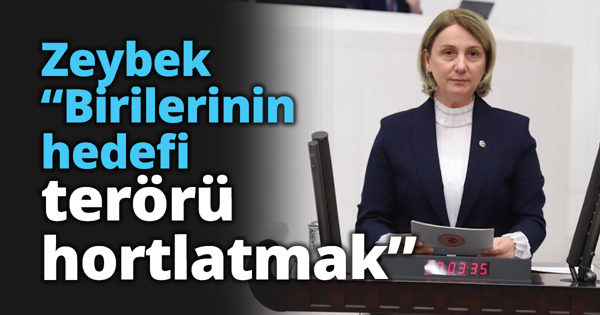 Zeybek “Birilerinin hedefi terörü hortlatmak”