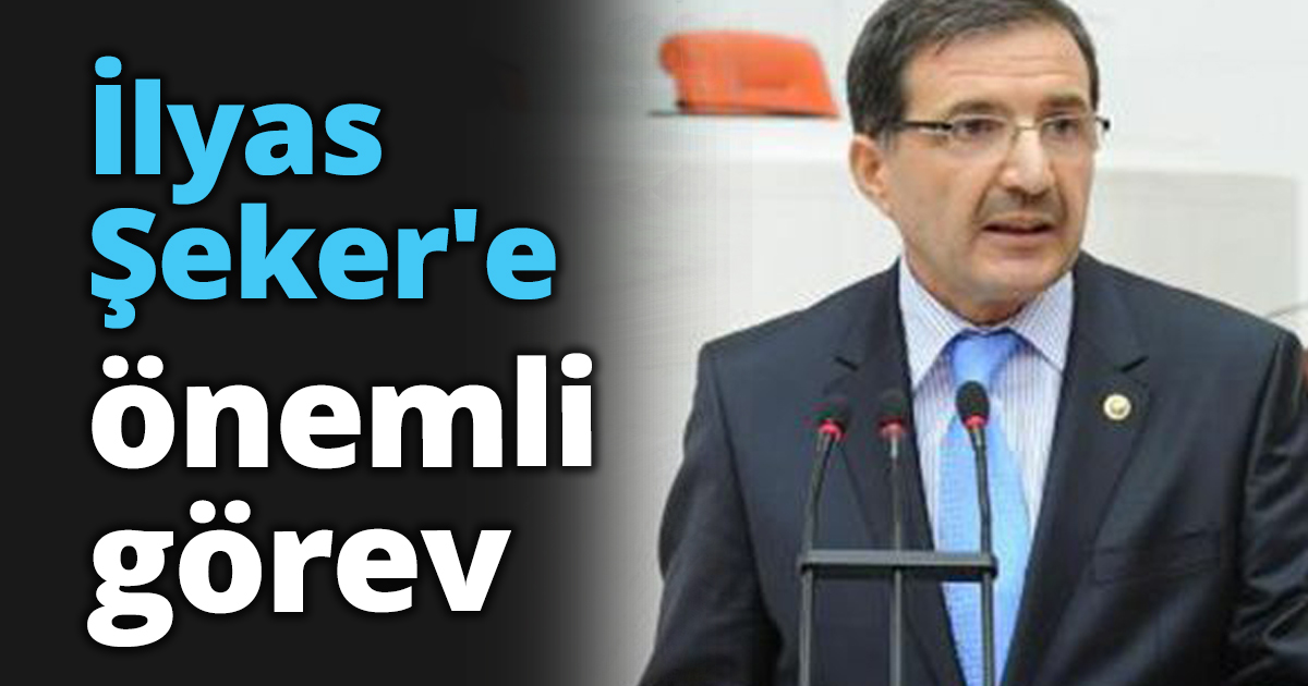 İlyas Şeker'e önemli görev
