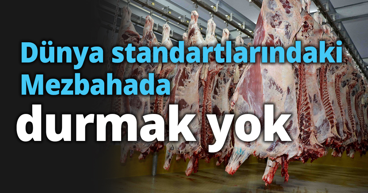Dünya standartlarındaki Mezbahada durmak yok