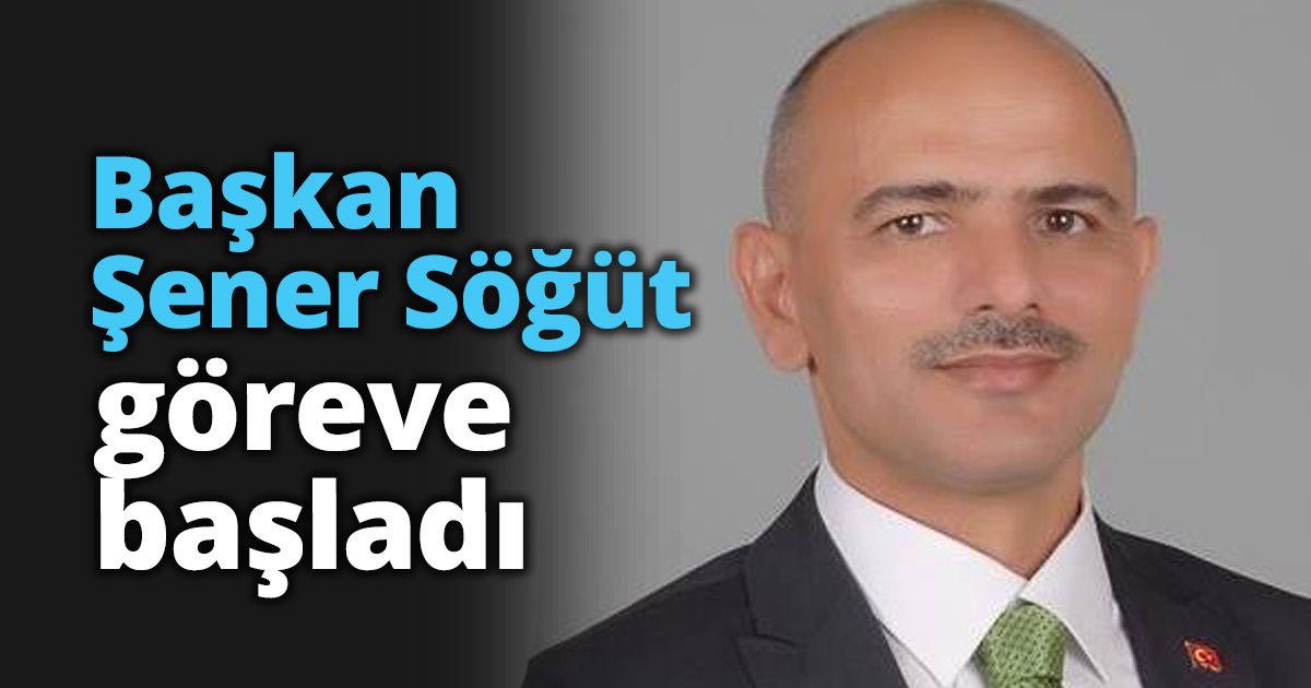 Şener Söğüt göreve başladı