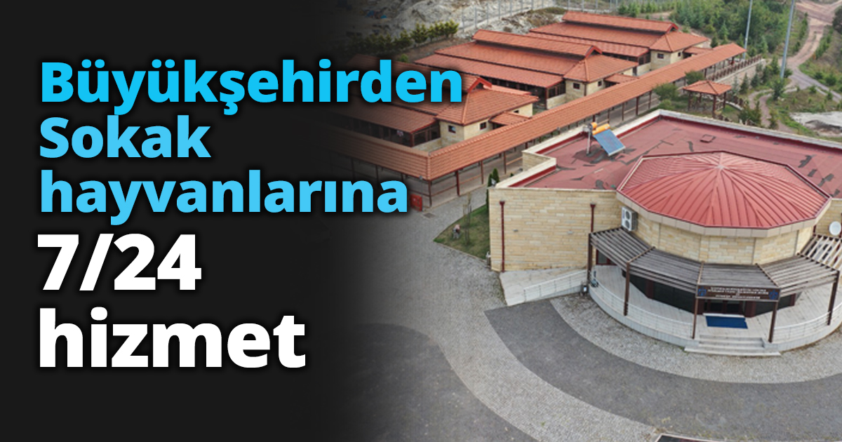 Sokak hayvanlarına 7/24 hizmet Büyükşehirden