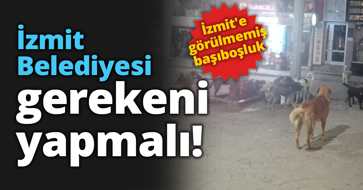 İzmit Belediyesi gerekeni yapmalı!