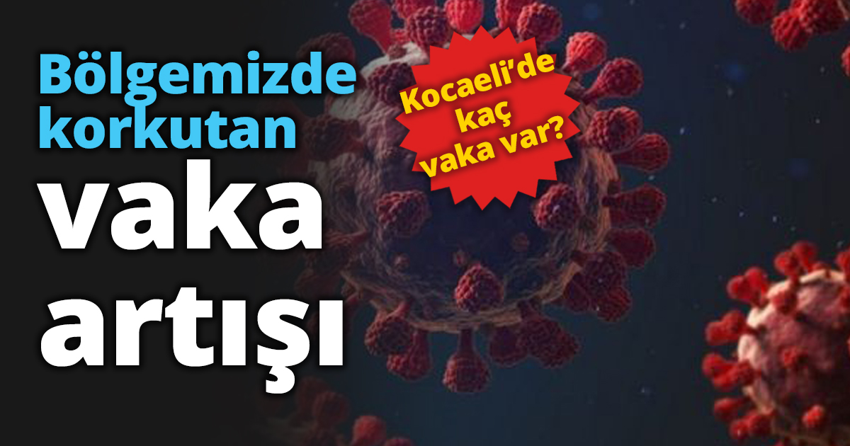 Bölgemizde korkutan vaka artışı