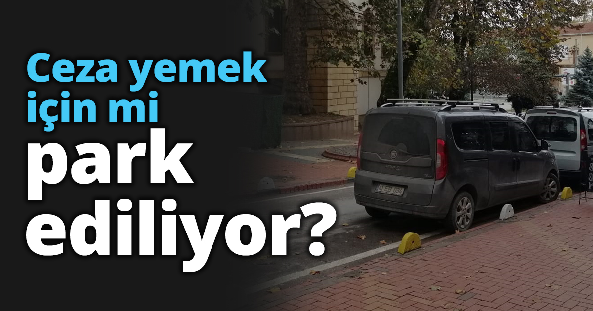 Ceza yemek için mi park ediliyor?