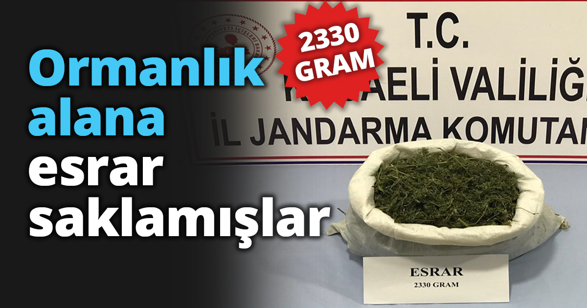 Ormanlık alana esrar saklamışlar