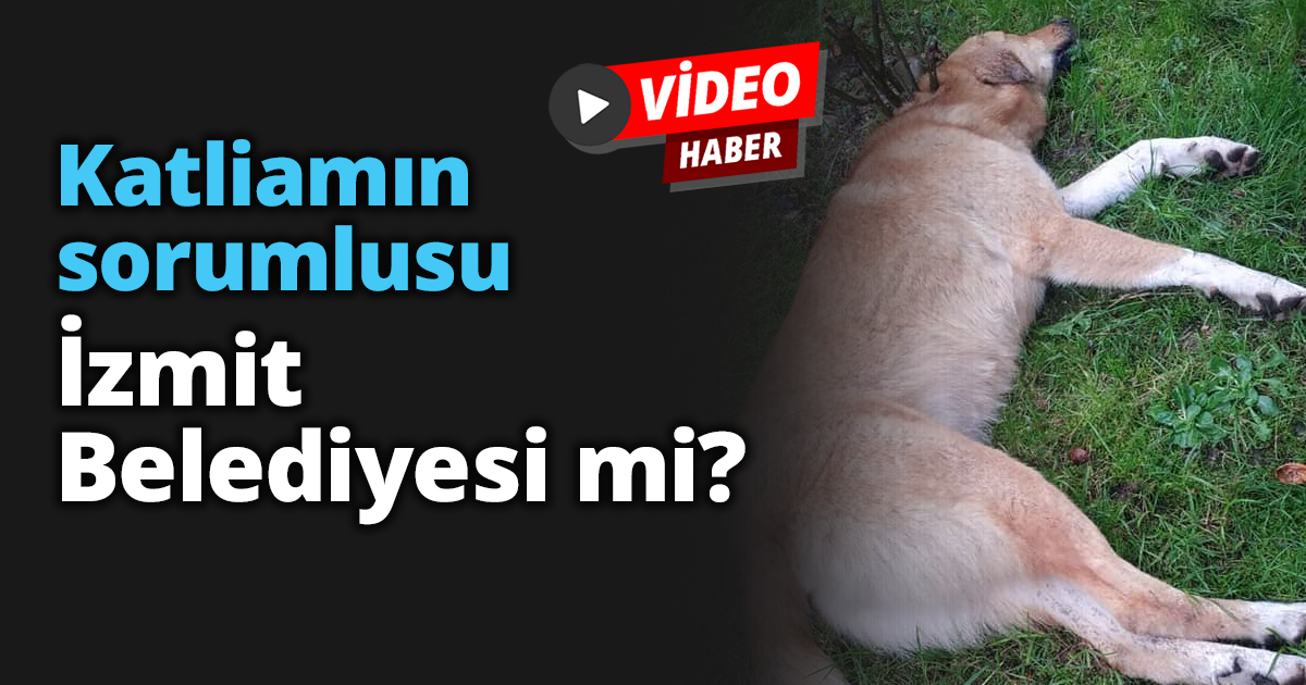 Katliamın sorumlusu İzmit Belediyesi mi?