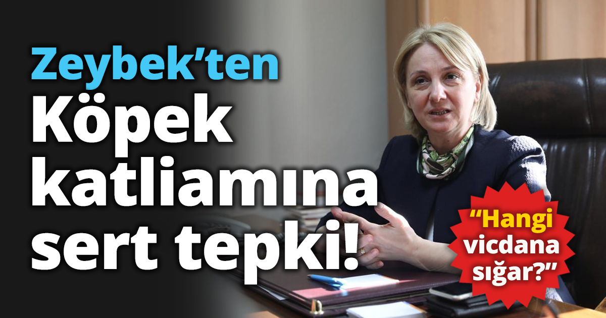 Zeybek’ten köpek katliamına sert tepki: “Hangi vicdana sığar?”