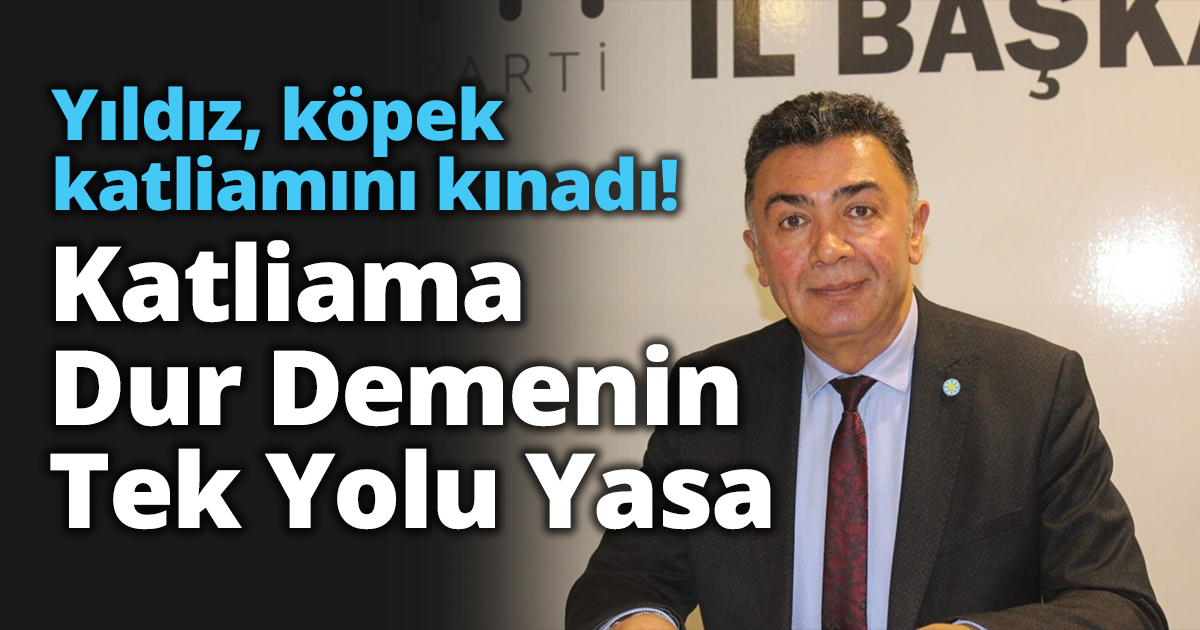 Katliama Dur Demenin Tek Yolu Yasa