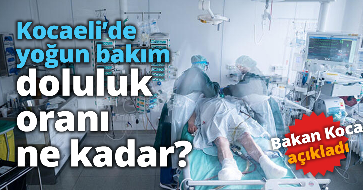 Kocaeli’de yoğun bakım doluluk oranı ne kadar?