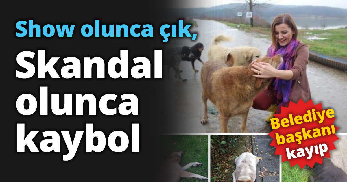 Show olunca çık, Skandal olunca kaybol