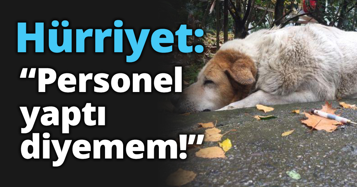 Hürriyet: “Personel  yaptı diyemem!”