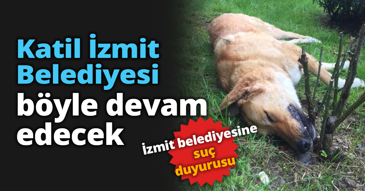İzmit belediyesine suç duyurusu 