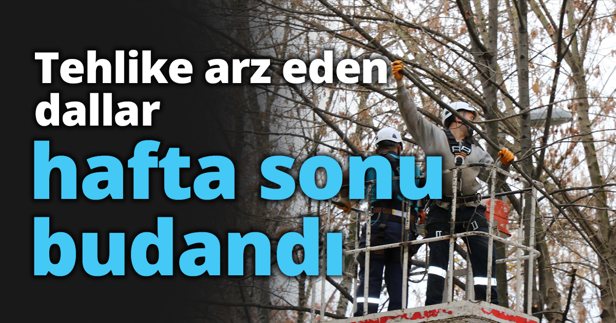 Tehlike arz eden dallar hafta sonu budandı