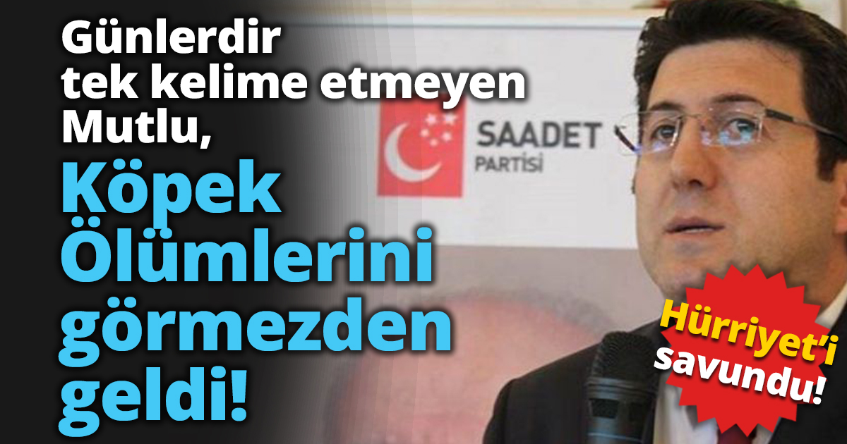 Mutlu, Öldürülen köpekleri görmezden geldi! Hürriyet’i savundu..