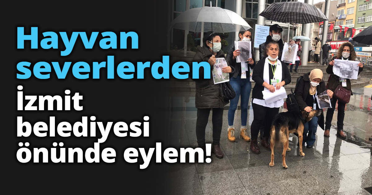 Hayvan severlerden İzmit belediyesi önünde eylem!