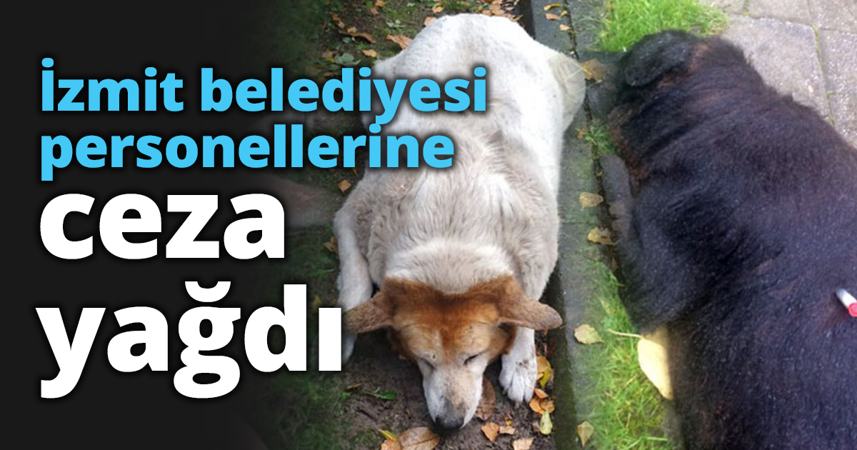 İzmit belediyesi personellerine ceza yağdı