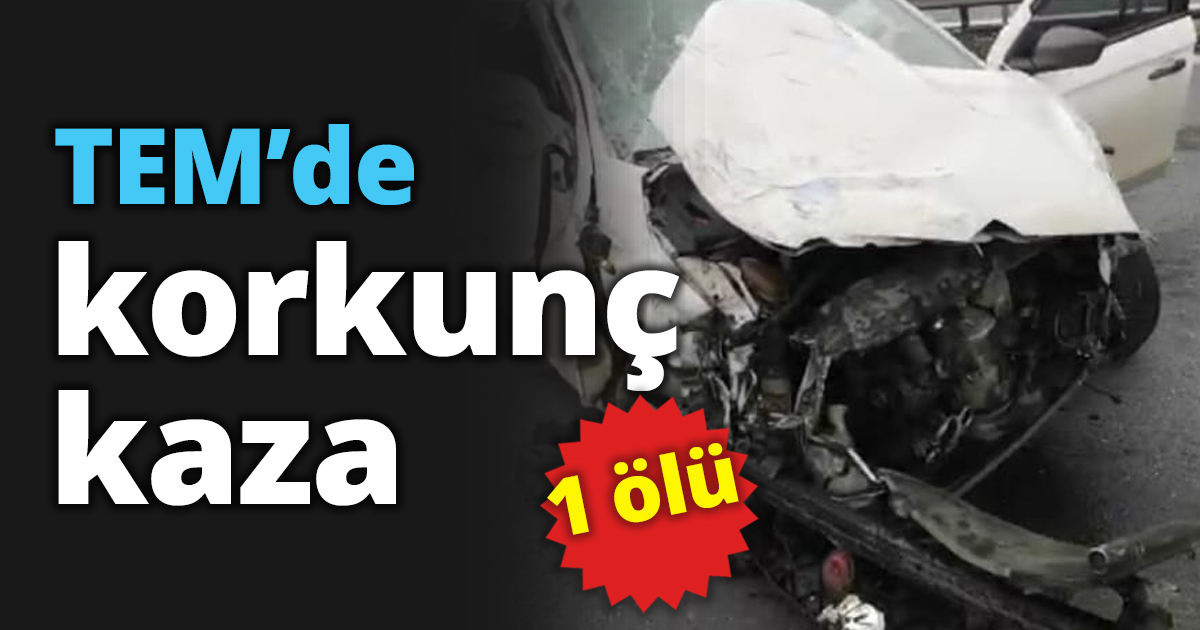 TEM’de korkunç kaza