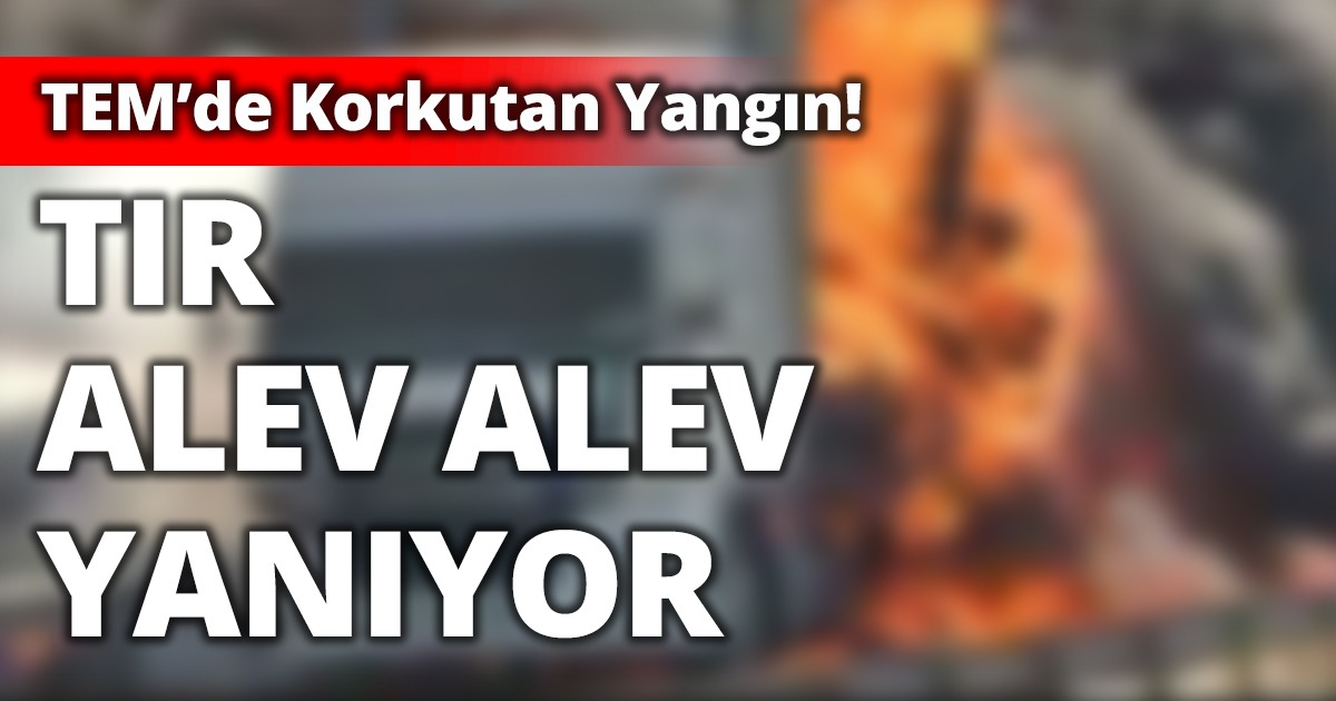 TEM’de korkutan yangın