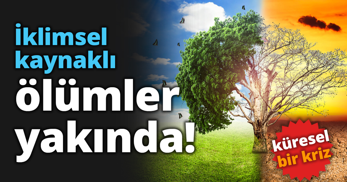 İklimsel kaynaklı ölümler yakında!