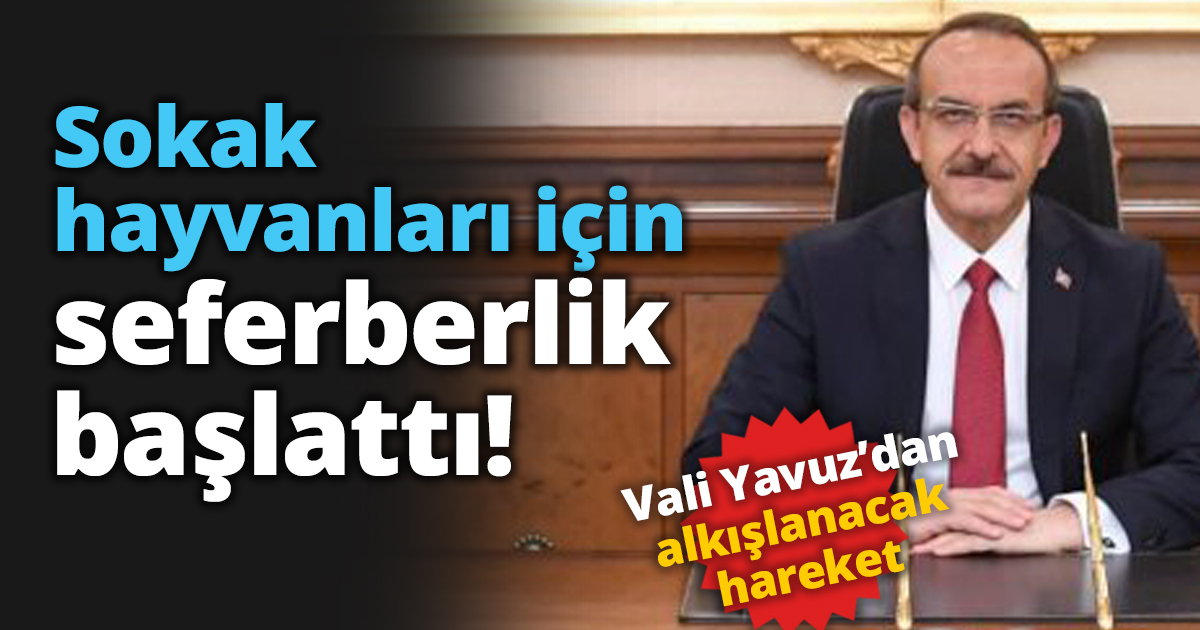 Sokak hayvanları için seferberlik başlattı!