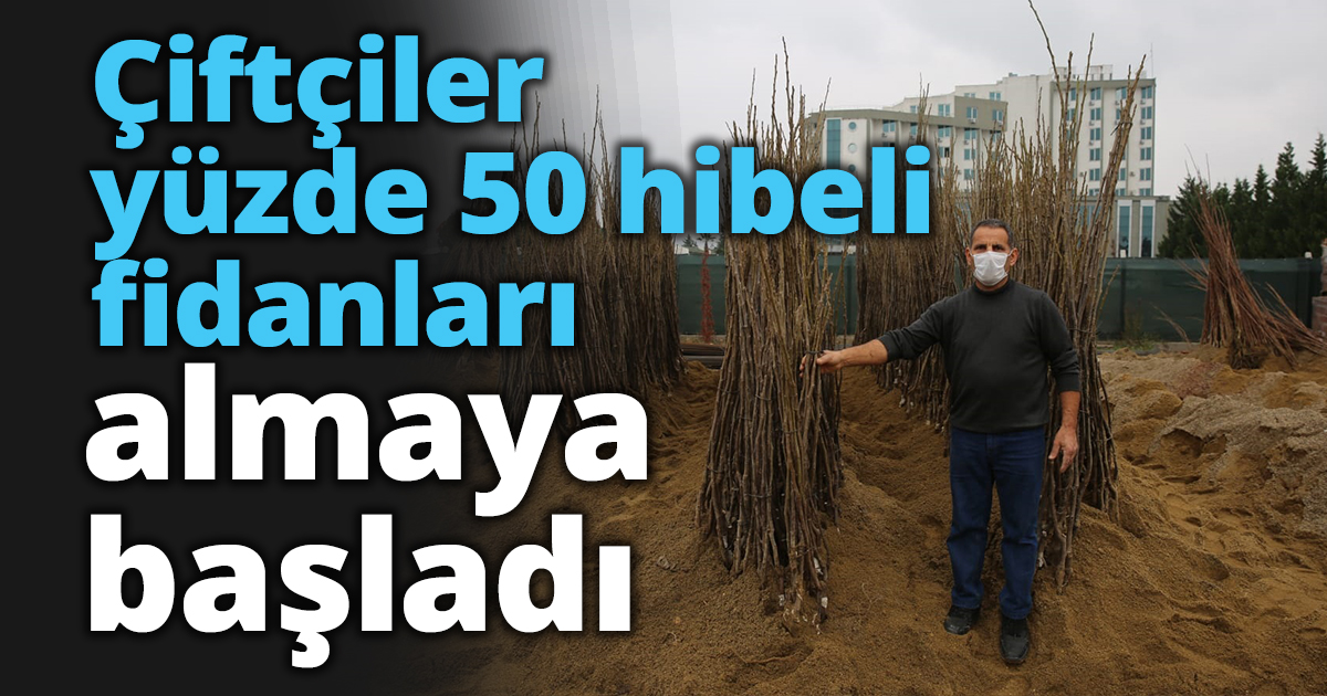 Çiftçiler yüzde 50 hibeli fidanları almaya başladı