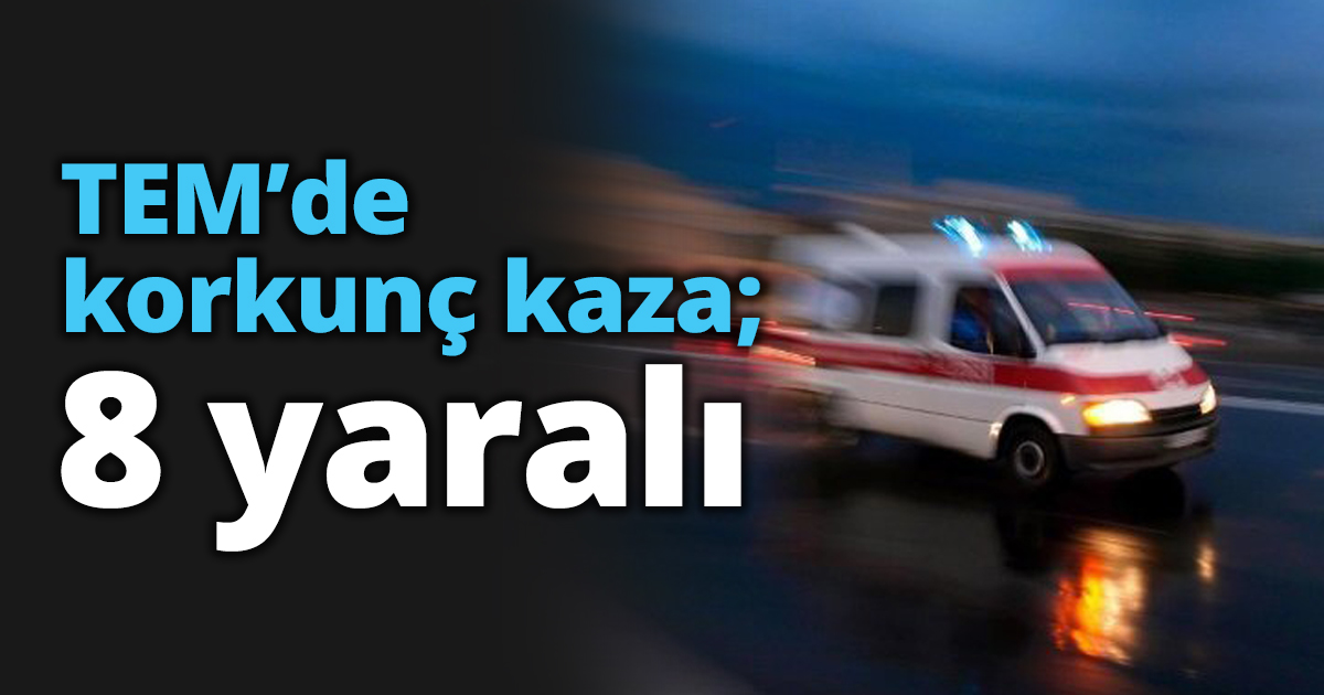 TEM’de korkunç kaza; 8 yaralı