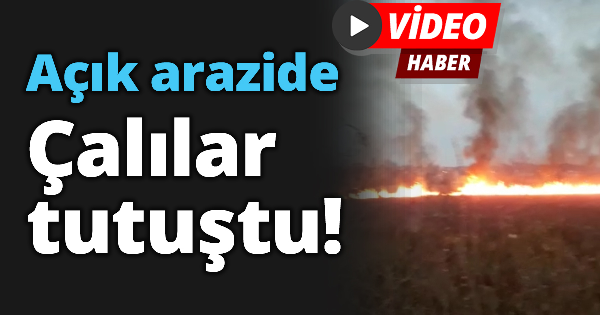 Açık arazide çalılar tutuştu!