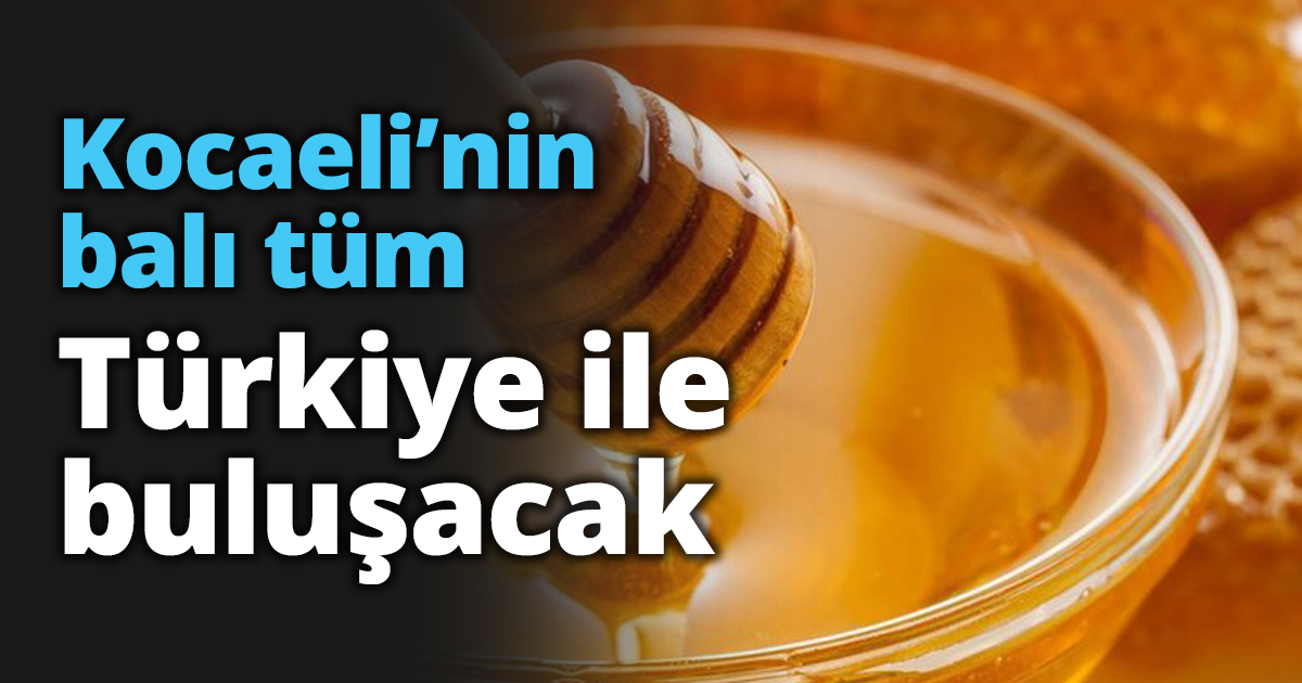 Kocaeli’nin balı tüm Türkiye ile buluşacak