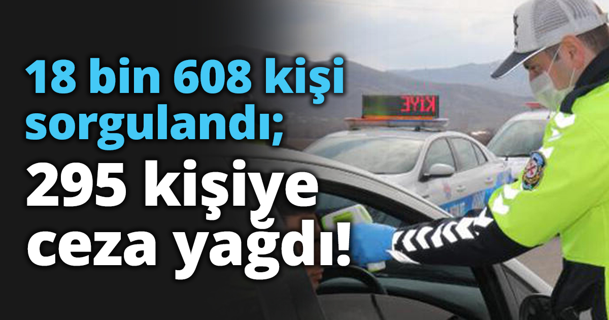 18 bin 608 kişi sorgulandı; 295 kişiye ceza yağdı!