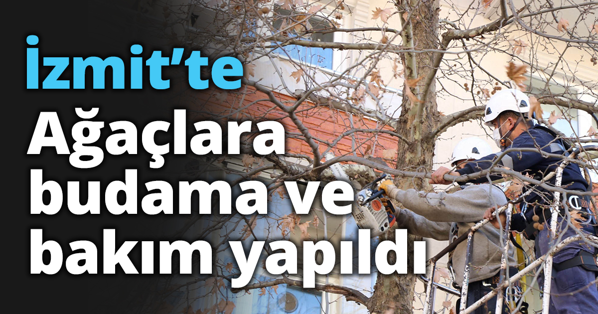 Ağaçlara budama ve bakım yapıldı