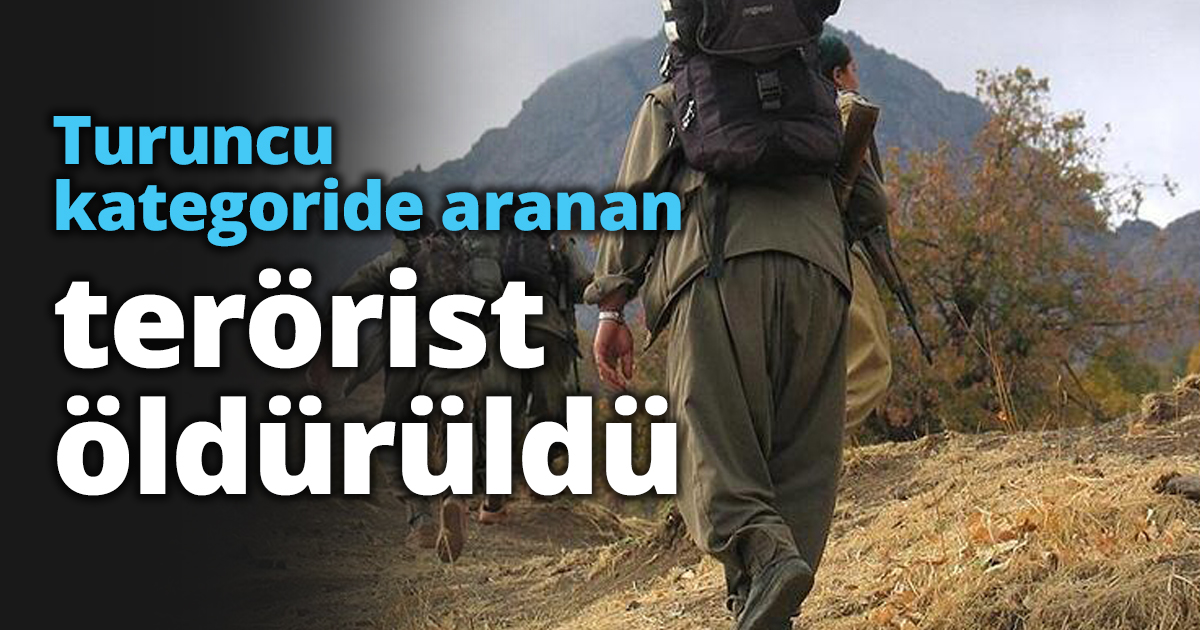 Turuncu kategoride aranan terörist öldürüldü