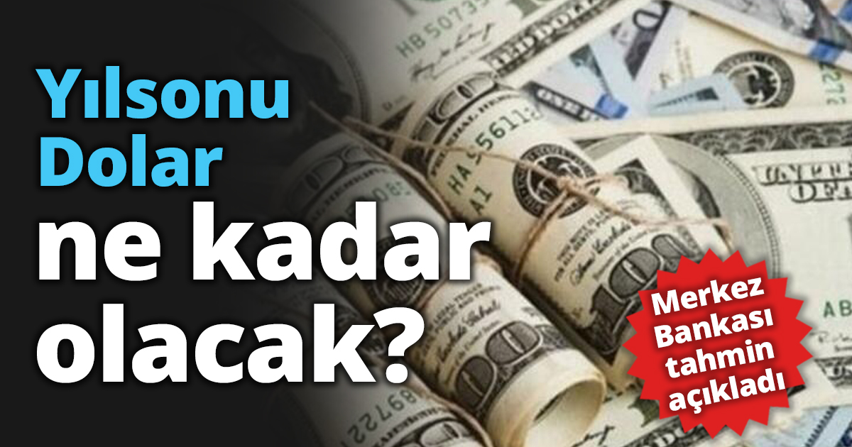 Yılsonu Dolar ne kadar olacak?