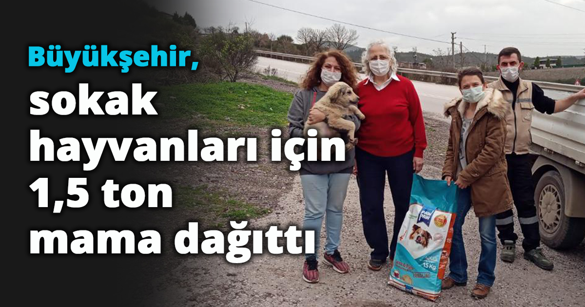 Büyükşehir, sokak hayvanları için  1,5 ton mama dağıttı