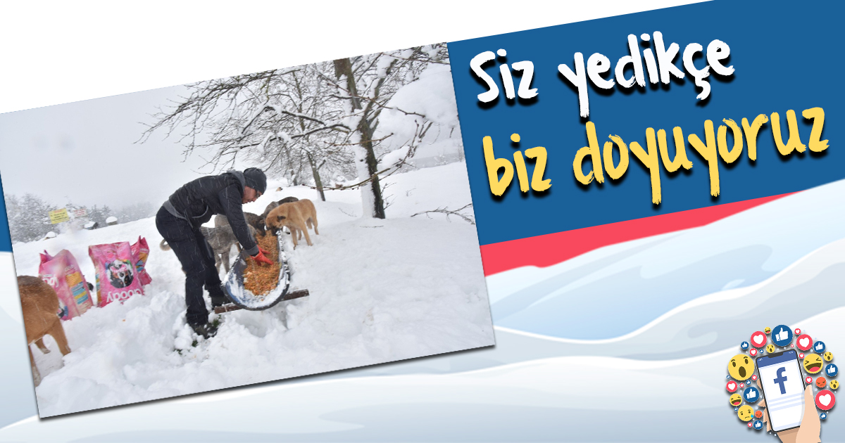 Siz yedikçe biz doyuyoruz