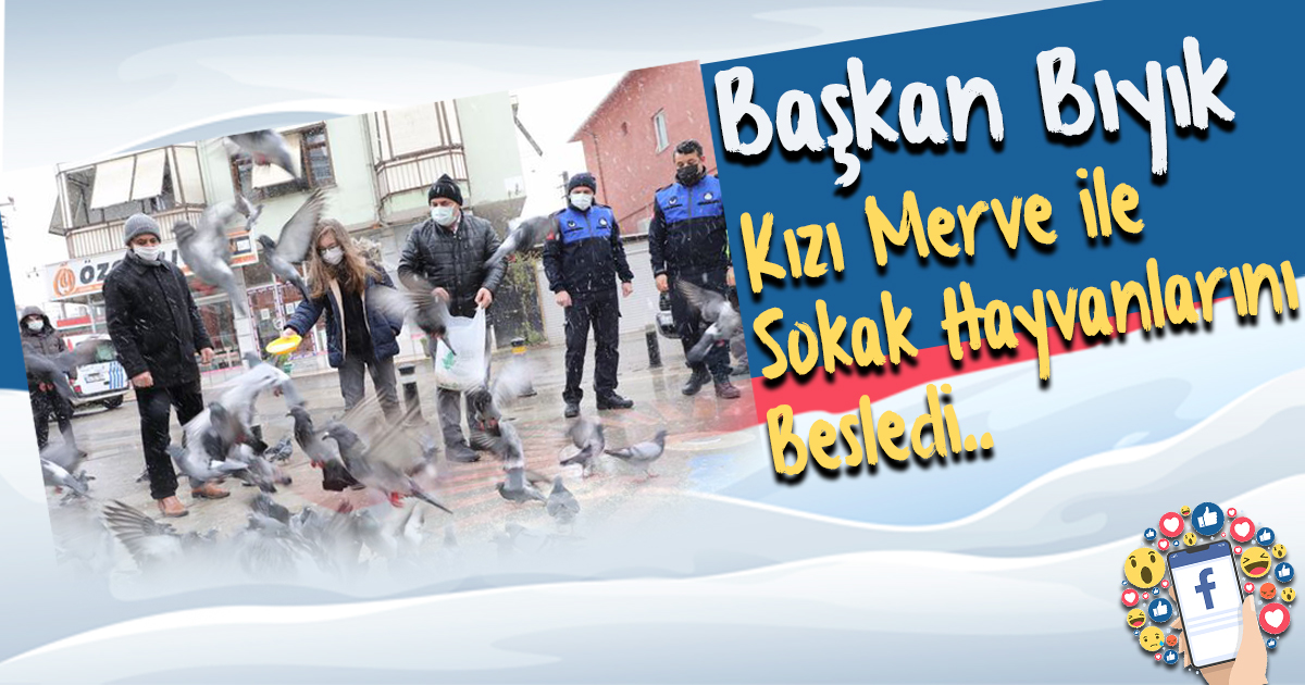 Başkan Bıyık Kızı Merve ile sokak hayvanlarını besledi.