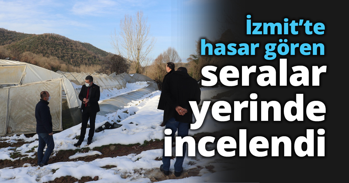 İzmit’te hasar gören seralar yerinde incelendi