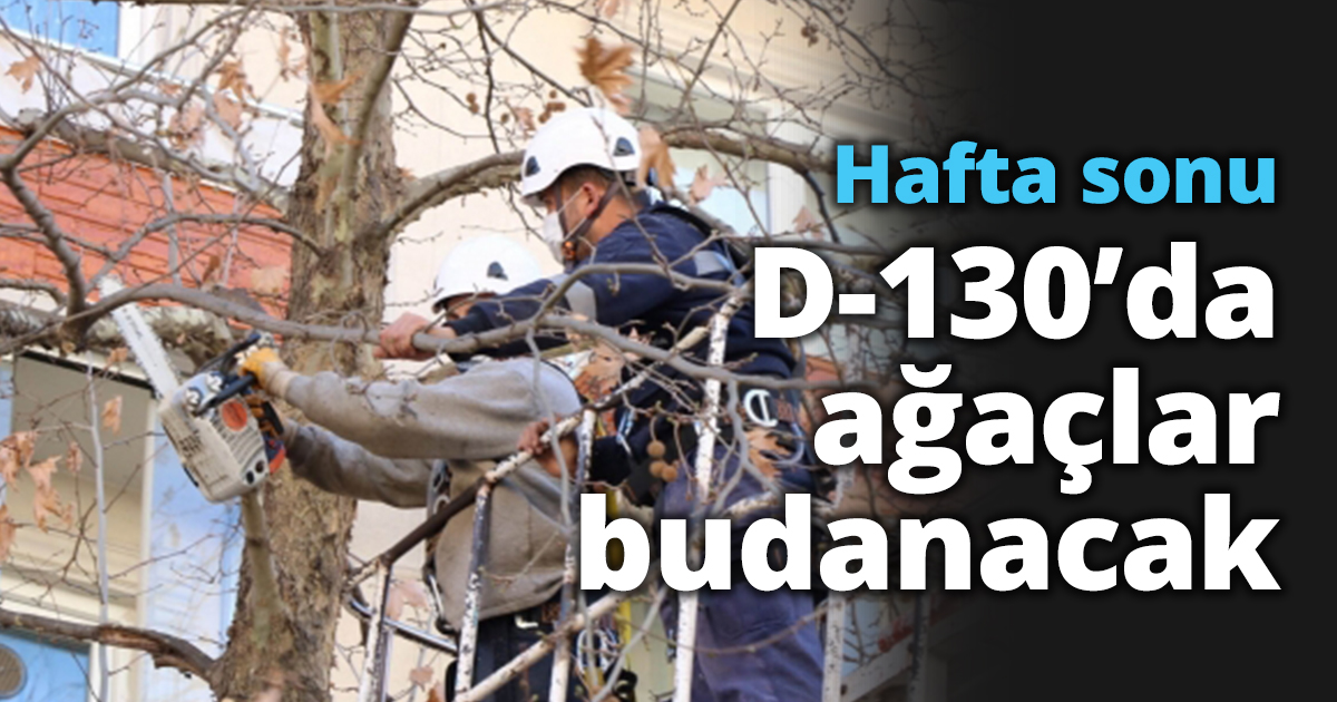Hafta sonu D-130’da ağaçlar budanacak   