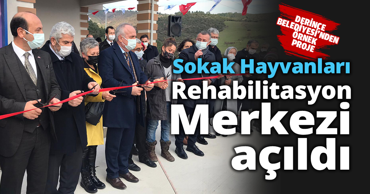 Sokak Hayvanları Rehabilitasyon Merkezi açıldı
