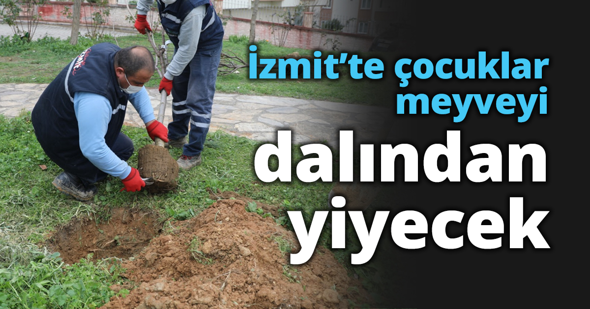 İzmit’te çocuklar meyveyi dalından yiyecek