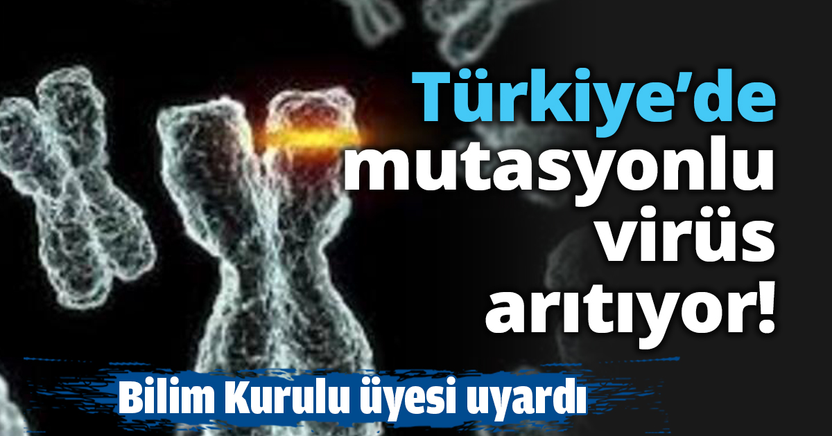 Türkiye’de mutasyonlu virüs arıtıyor!