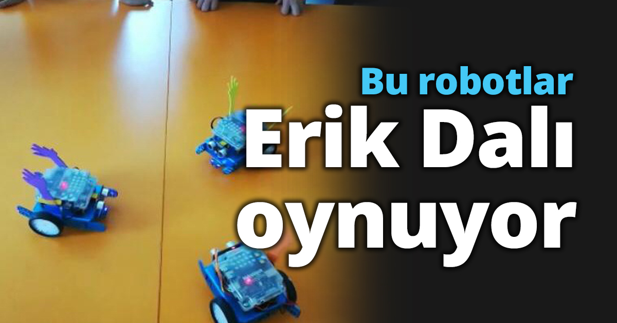 Bu robotlar Erik Dalı oynuyor