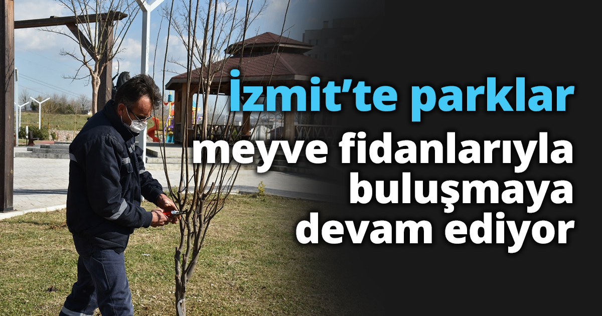 İzmit’te parklar meyve fidanlarıyla buluşmaya devam ediyor 