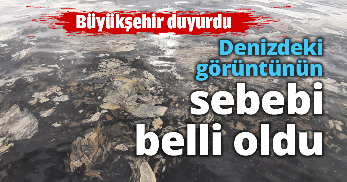 Denizdeki görüntünün sebebi belli oldu