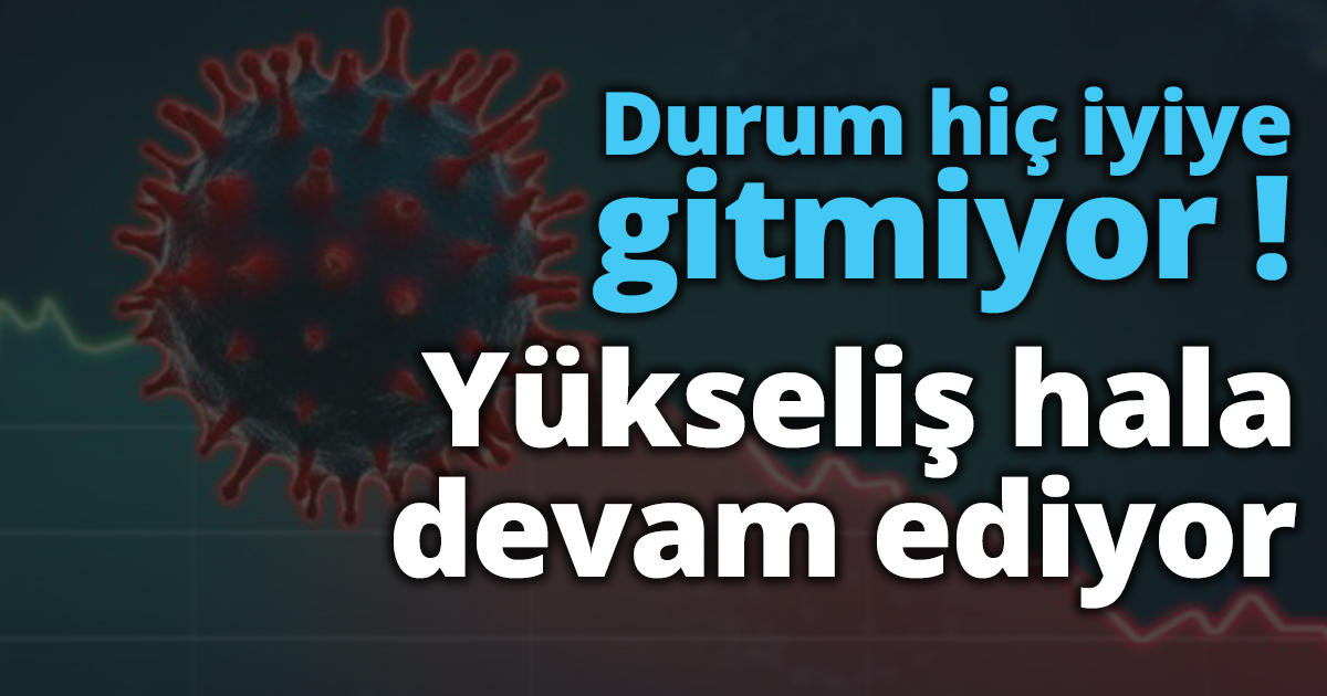 Durum hiç iyiye gitmiyor! Yükseliş hala devam ediyor