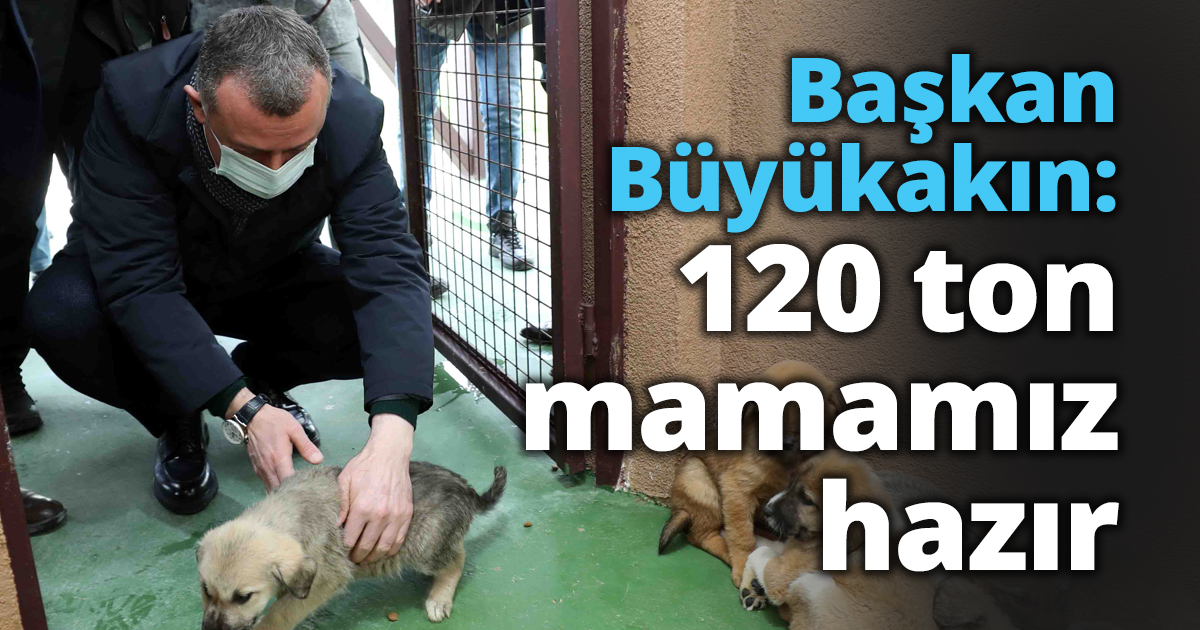 Başkan Büyükakın: 120 ton mamamız hazır