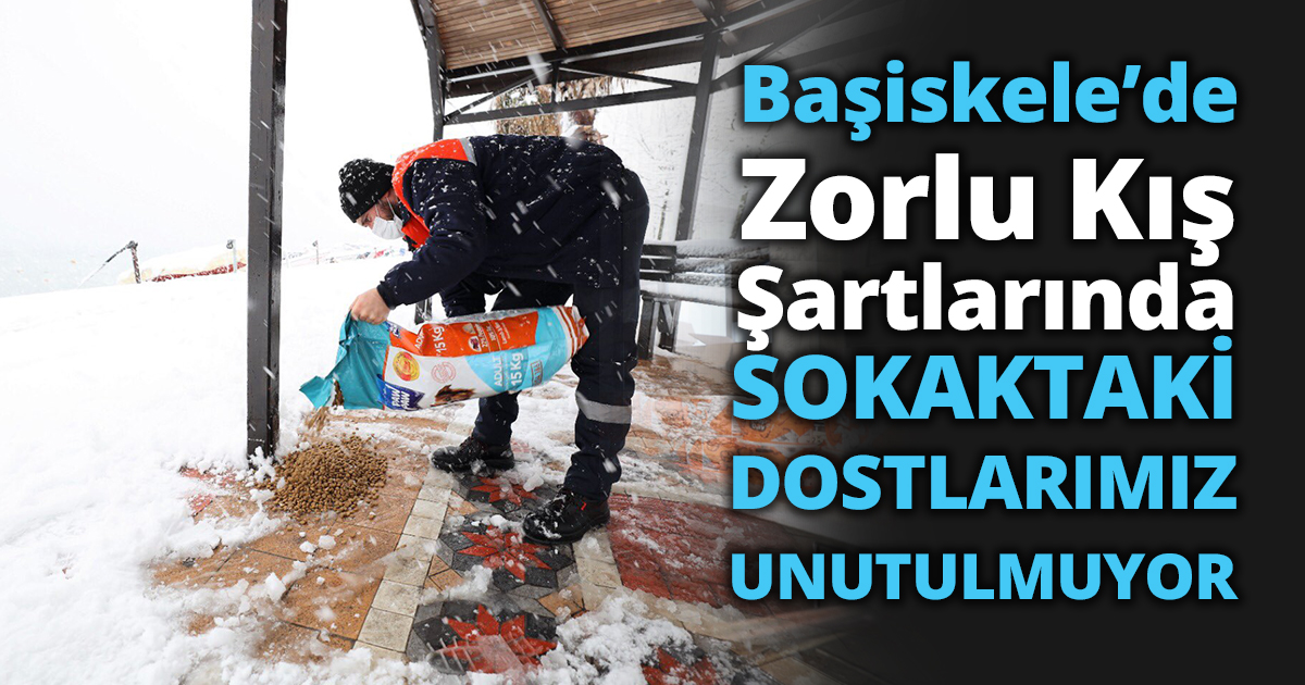 Başiskele’de Zorlu Kış Şartlarında Sokaktaki Dostlarımız Unutulmuyor